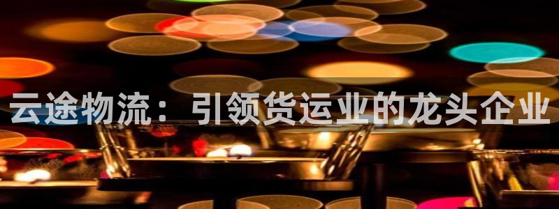 28圈.ccm南宫：云途物流：引领货