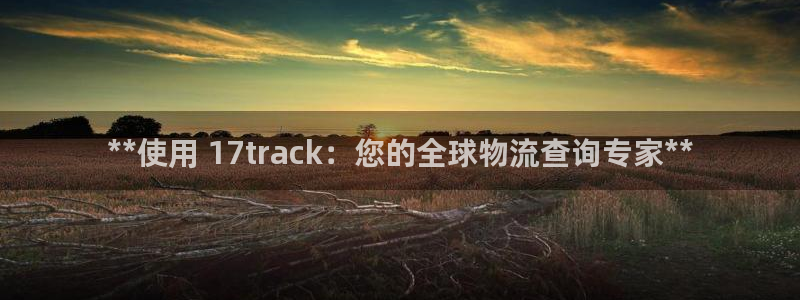 28圈p扣除是什么意思：**使用 1