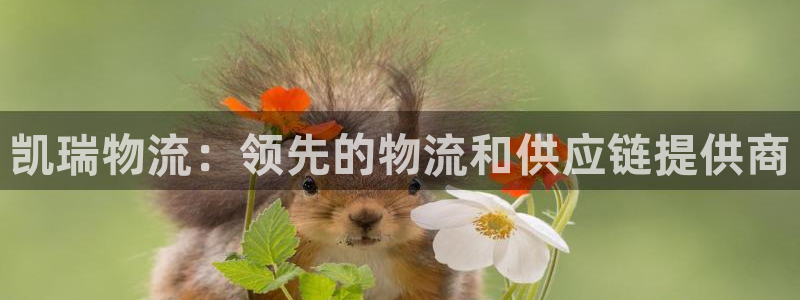 28圈娱乐官网网页：凯瑞物流：领先的