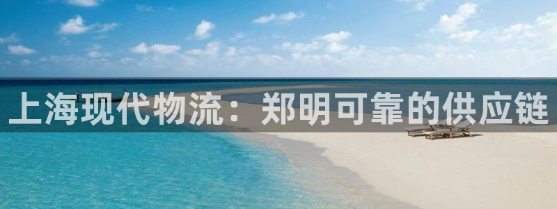 28圈自行车图片大全：上海现代物流：
