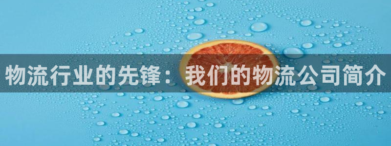 28圈登录网：物流行业的先锋：我们的