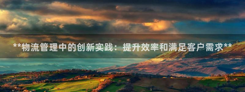 28圈注册：**物流管理中的创新实践
