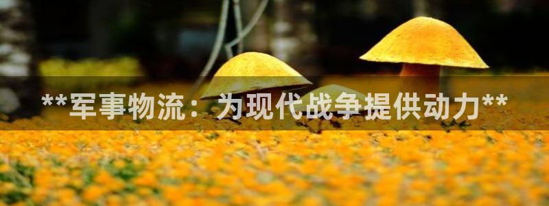 28圈连输10天
