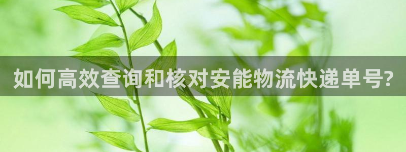 28圈技巧