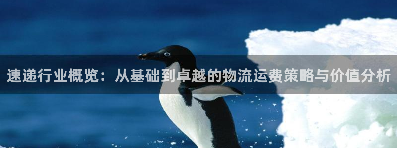 28圈昵称