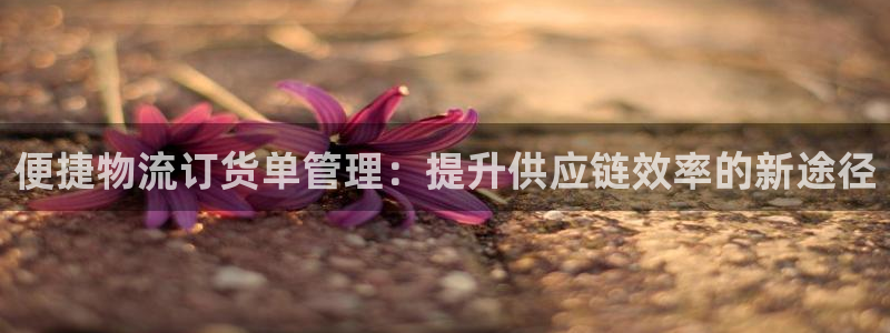 南宫28圈官网版