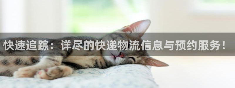 28圈软件有什么用