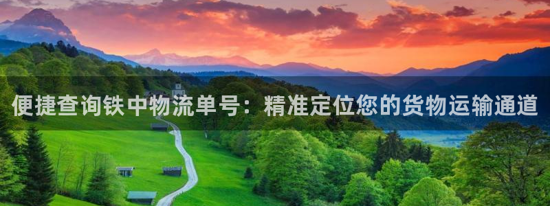 28圈官方网站是多少：便捷查询铁中物