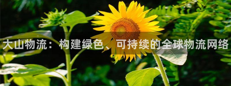 28圈加拿大真假怎么看