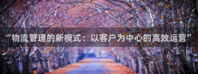 28圈ip被限制怎么解决：“物流管理的新模式：以客户为中心的