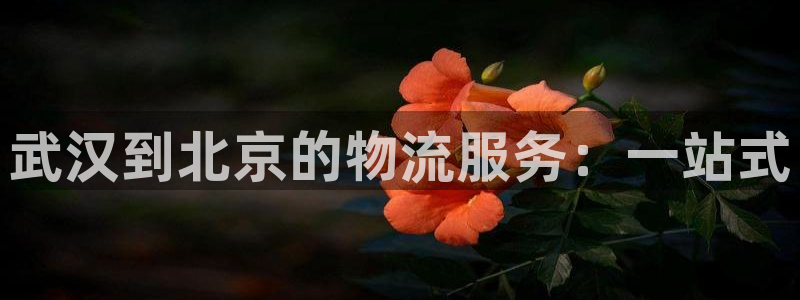 28圈充值：武汉到北京的物流服务：一