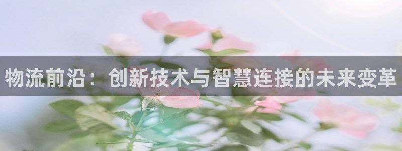 28圈入口问一问：物流前沿：创新技术