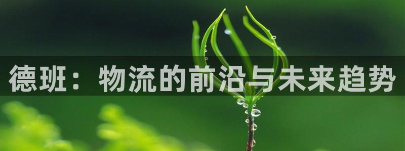 28圈违法吗:德班:物流的前沿与未来