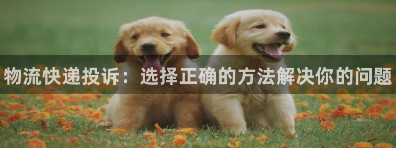 28圈初始密码在哪里修改的:物流快递