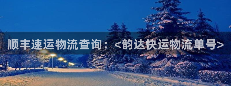 28圈加拿大能提现吗:顺丰速运物流查