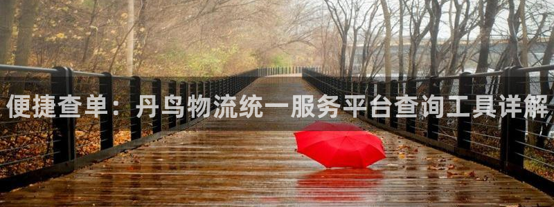 28圈注册网站加拿大：便捷查单：丹鸟物流统一服务平台查询工具