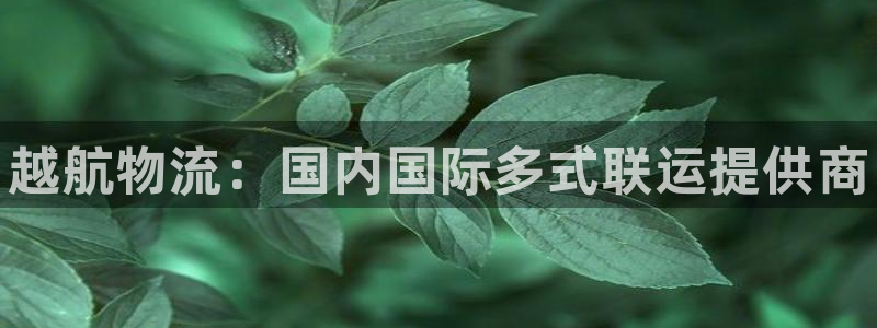 28圈注册：越航物流：国内国际多式联