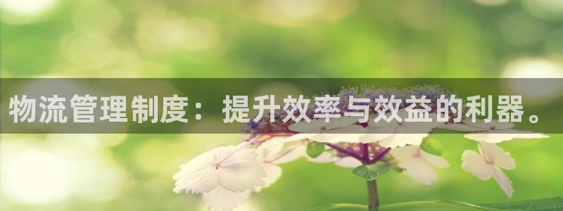 南宫28圈官网版