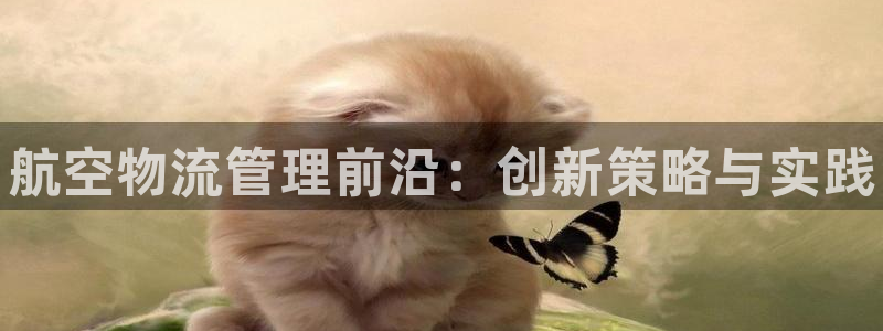 28圈官方版正版：航空物流管理前沿：