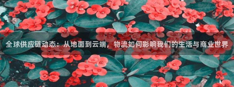 28圈注册与教程：全球供应链动态：从