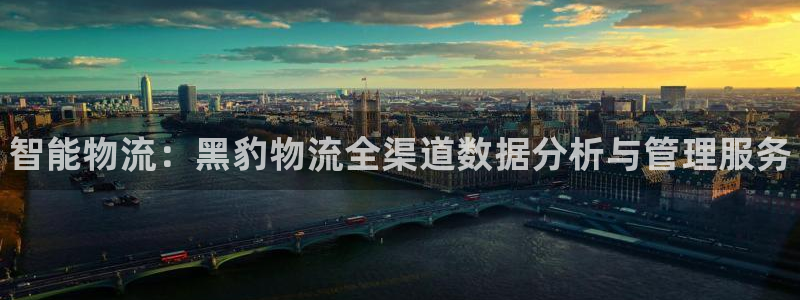 28圈注册链接教程：智能物流：黑豹物