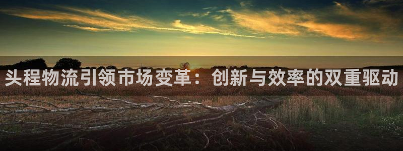 28圈游戏官网入口：头程物流引领市场