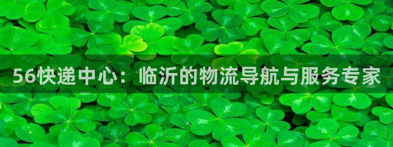 28圈机器人是什么软件：56快递中心