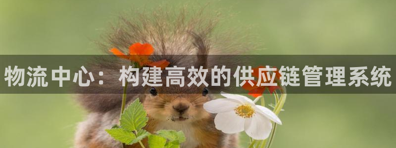 28圈.ccm2024：物流中心：构