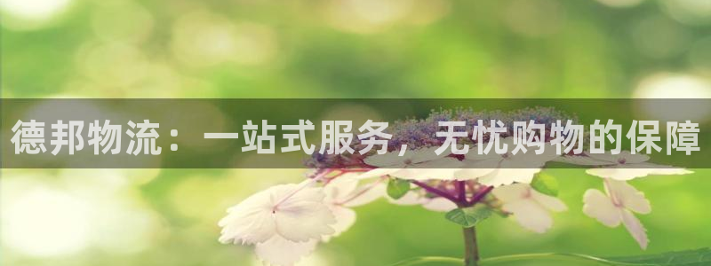 28圈黑平台吗：德邦物流：一站式服务