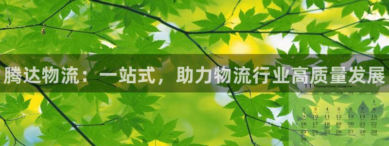 28圈官网开奖结果预测查询：腾达物流