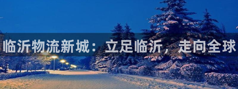 28圈注册号：临沂物流新城：立足临沂，走向全球