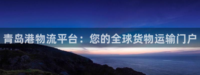28圈aPP退款：青岛港物流平台：您