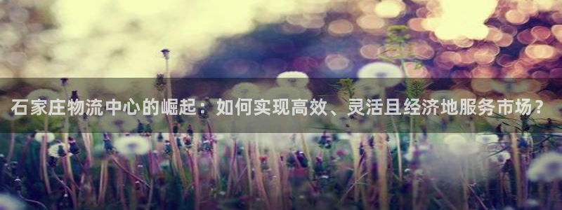 28圈p图上分下款通道：石家庄物流中心的崛起：如何实现高效、