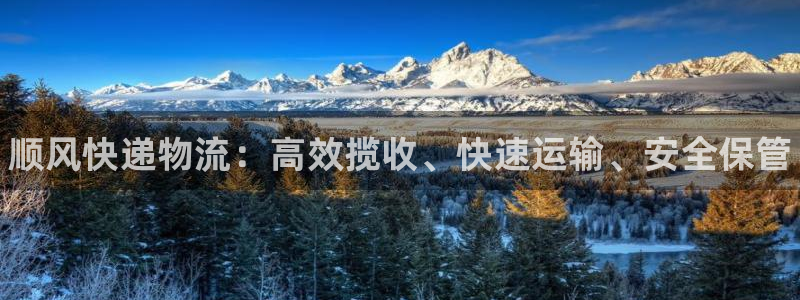 28圈的平台:顺风快递物流:高效揽收