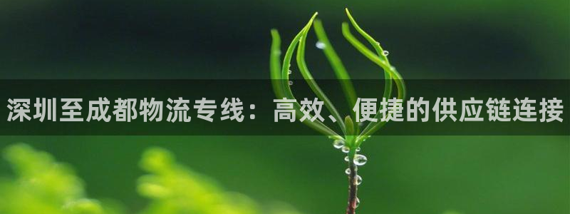 28圈免费充钱:深圳至成都物流专线: