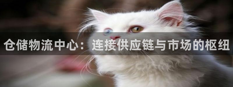 28圈怎么申请代理:仓储物流中心:连